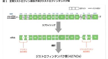 昭和伊南総合病院 プチ紹介